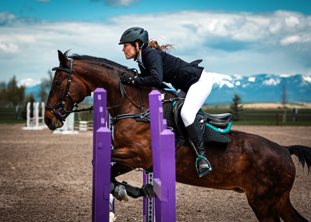 Must-Have Accessories for Horse Jumping