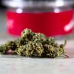 The Potential Benefits of Medical Cannabis in Modern Treatment Plans